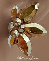Small Spray Crystal Ballroom earrings - Gold